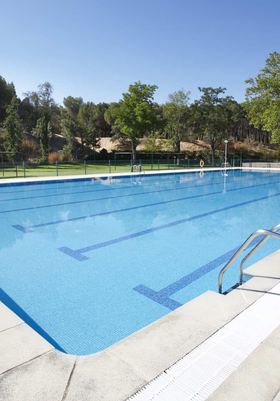 outdoor swimming pool surrounded by trees. recreation area. copy outdoor swimming pool surrounded by trees. recreation area. copy